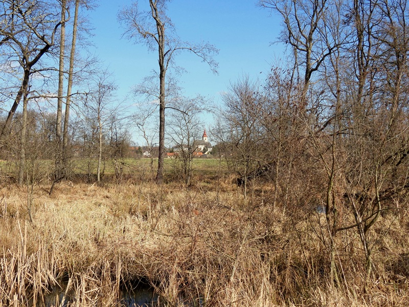 Halbenrain quer (12)