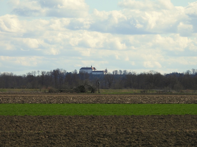 Halbenrain quer (14)