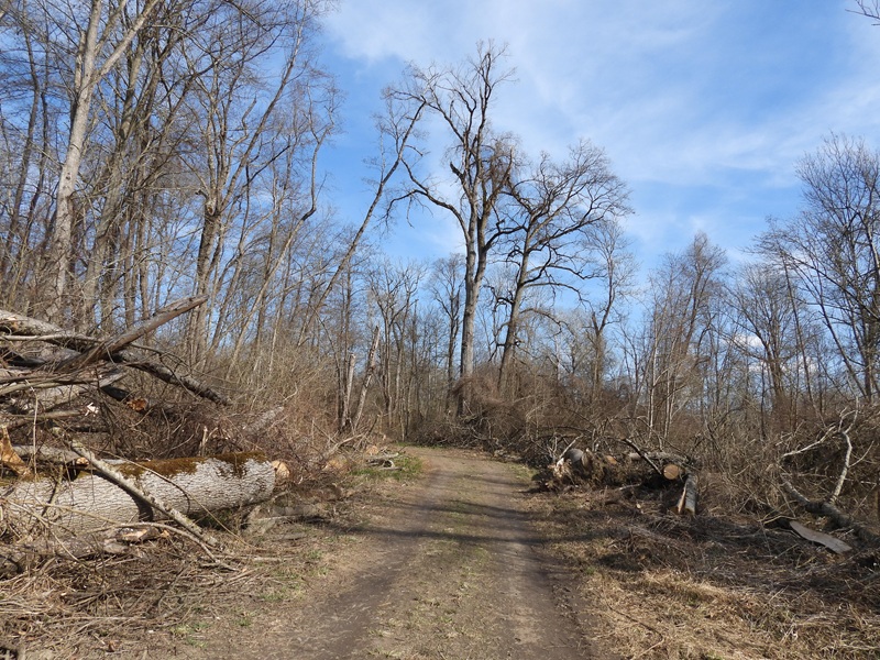 Halbenrain quer (15)