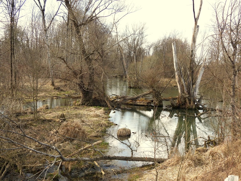 Halbenrain quer (19)