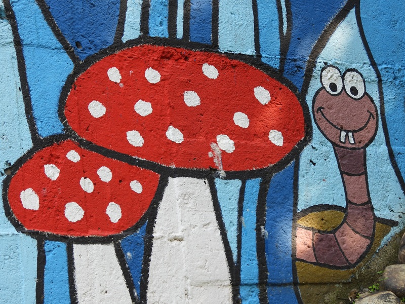 Halbenrain quer (25)