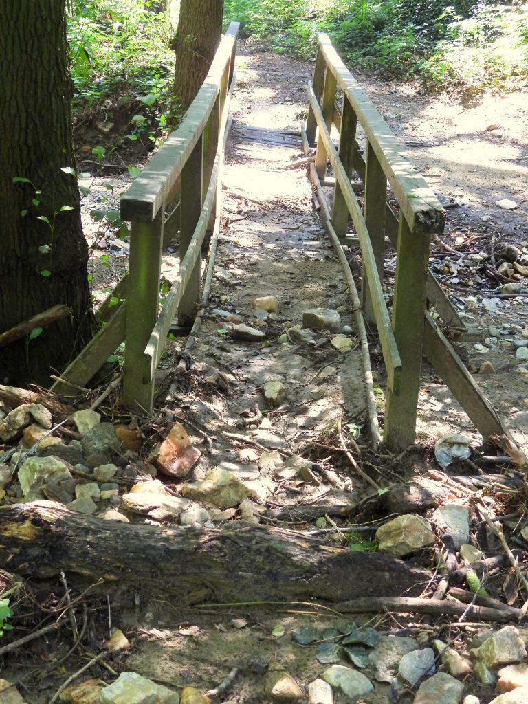 Heilbründlweg hoch (4)