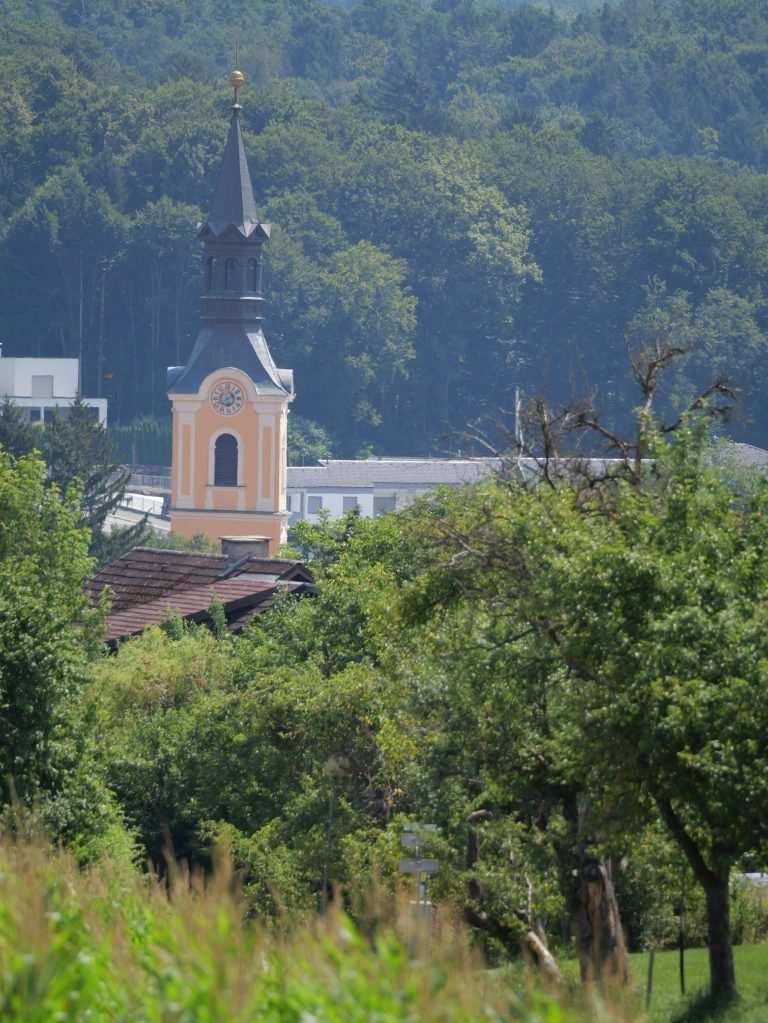 Heilbründlweg hoch (8)