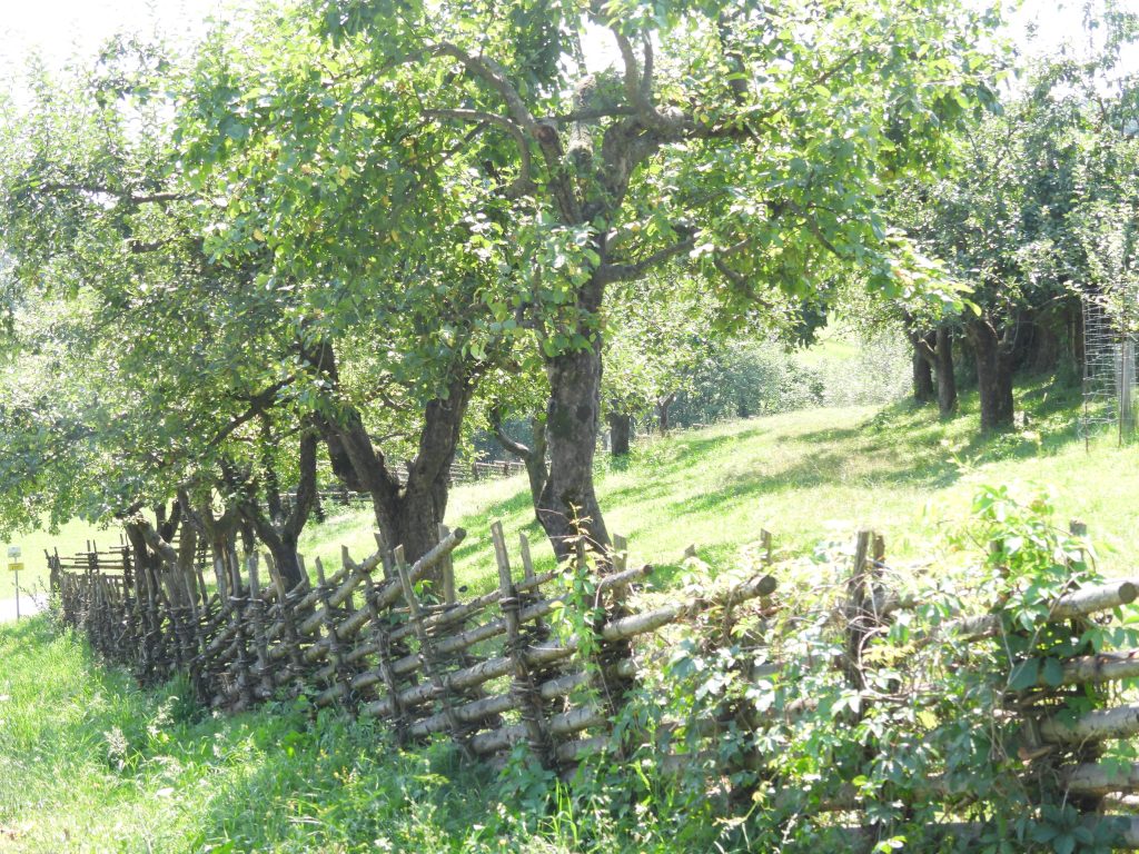 Heilbründlweg quer (16)