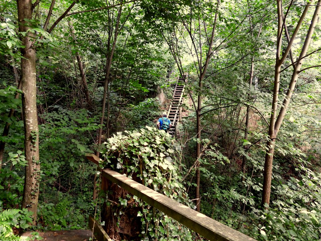 Heilbründlweg quer (21)