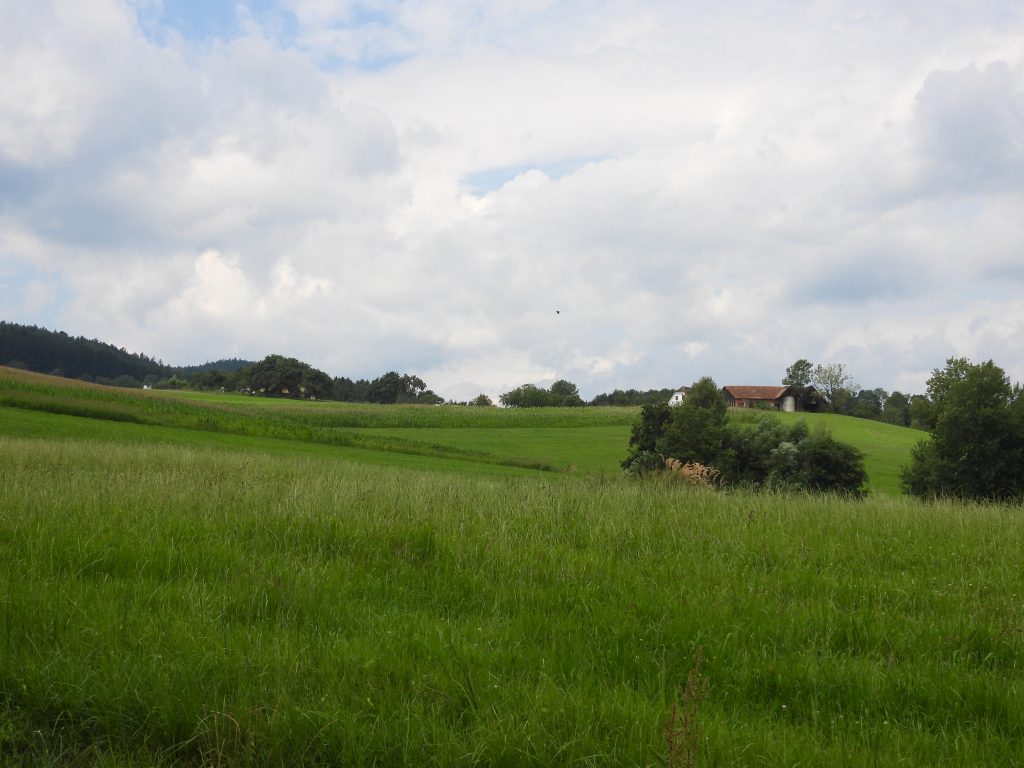 Heilbründlweg quer (22)