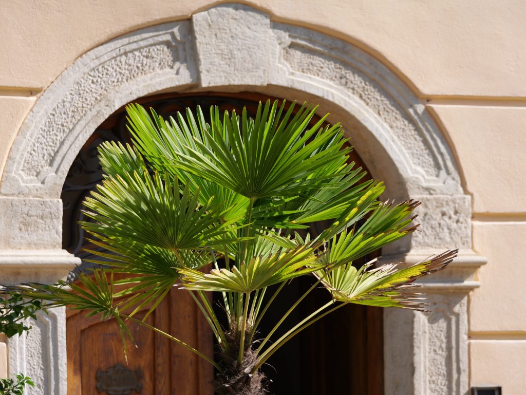 Heilbründlweg quer (26)