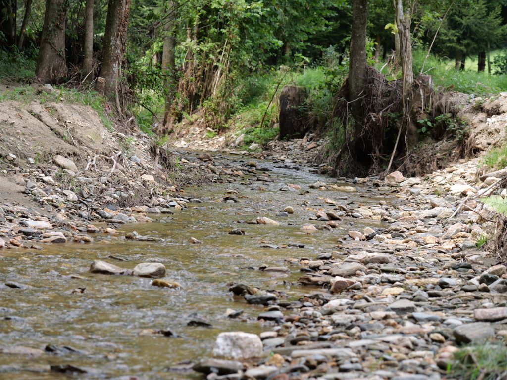 Heilbründlweg quer (39)