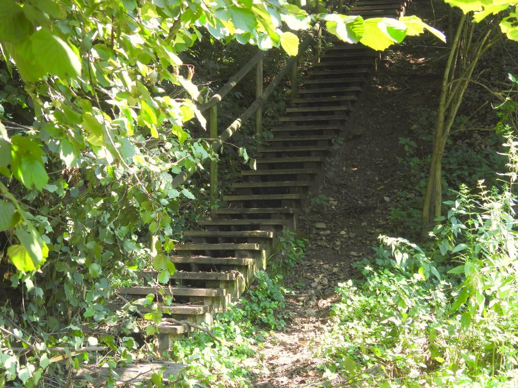 Heilbründlweg quer (5)