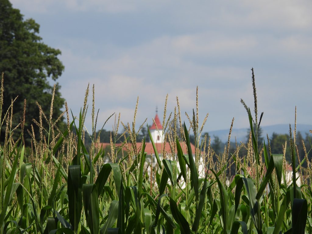 Heilbründlweg quer (6)