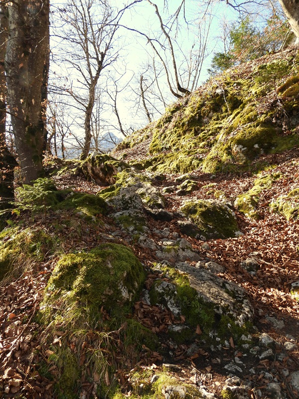 Kanzianiberg hoch (11)