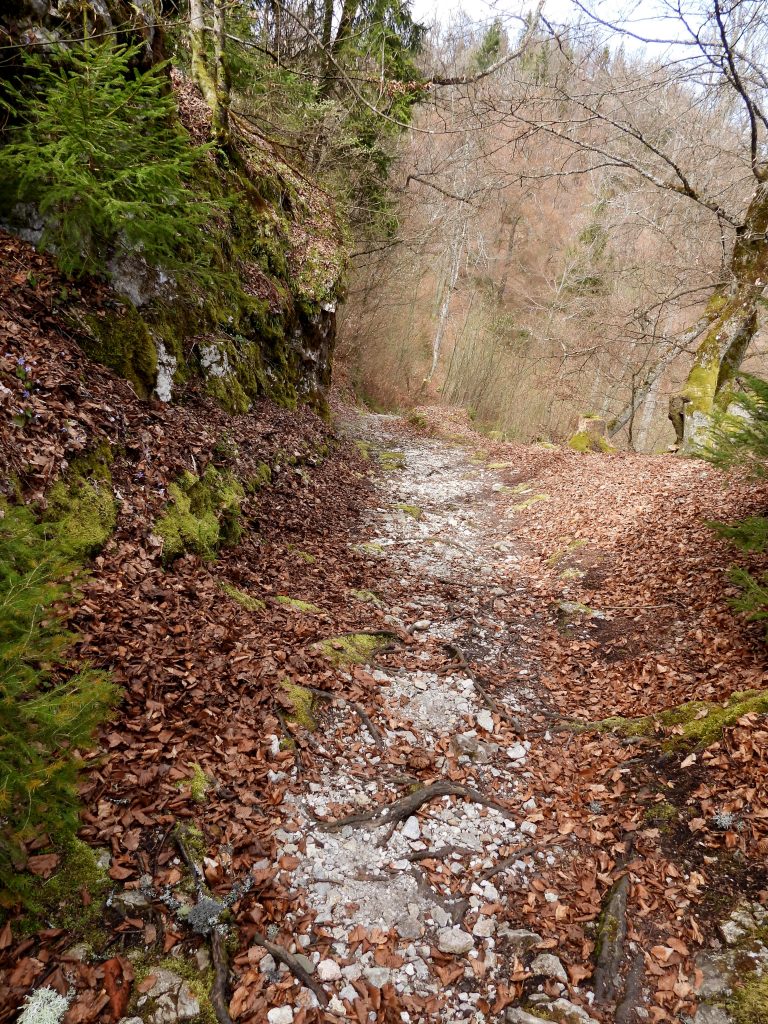 Kanzianiberg hoch (5)