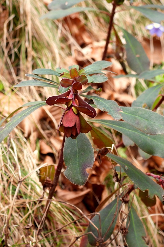 Kanzianiberg hoch (7)