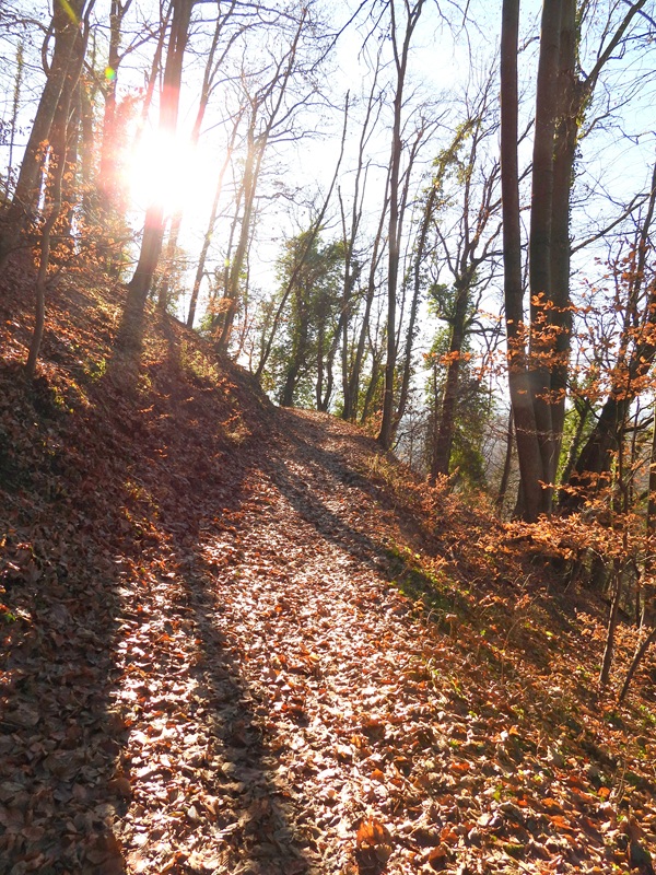 Kapfenstein hoch (5)