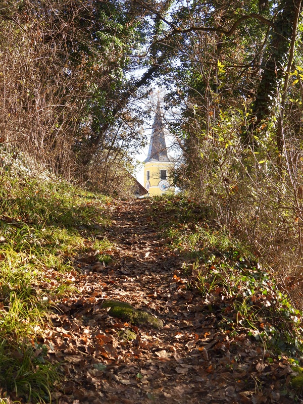 Kapfenstein hoch (6)