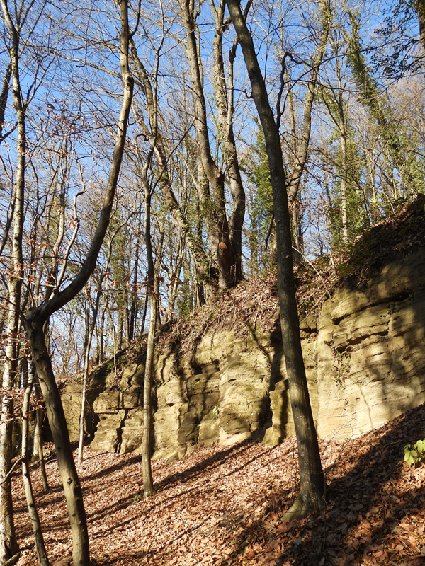 Kapfenstein hoch (7)