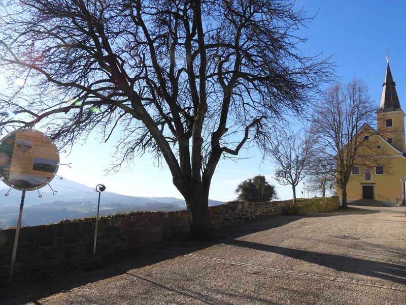 Kapfenstein quer (1)