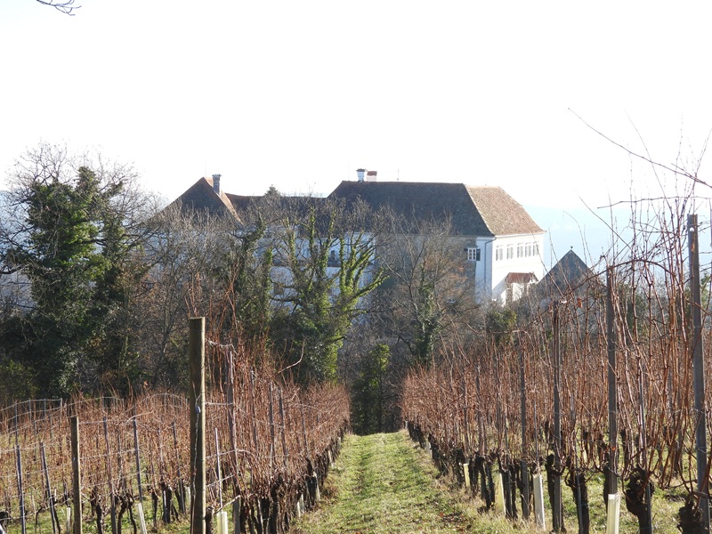 Kapfenstein quer (4)