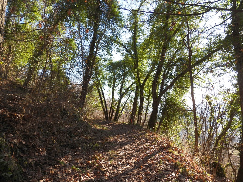 Kapfenstein quer (7)