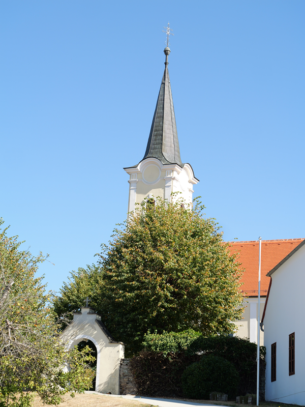 Kienbergrunde hoch (10)