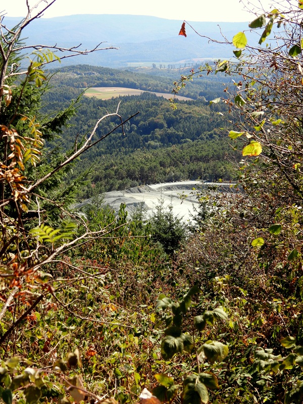 Kienbergrunde hoch (3)