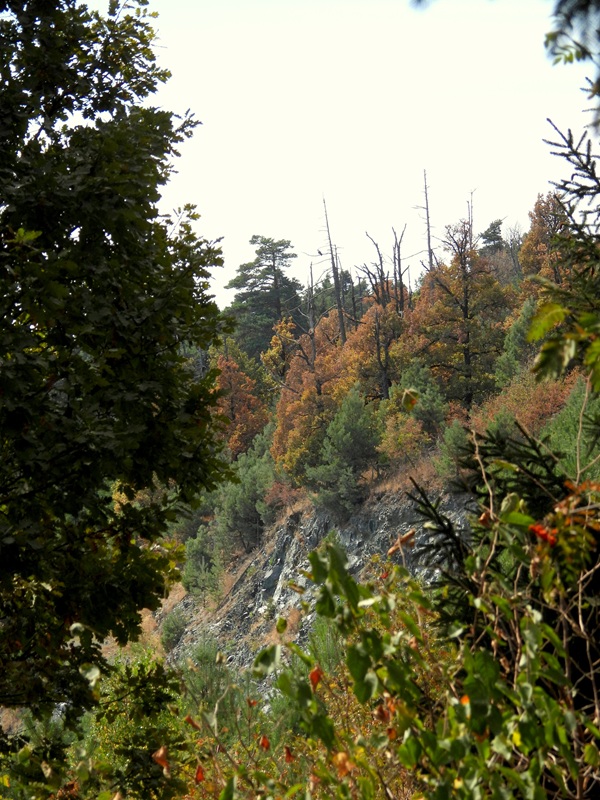 Kienbergrunde hoch (5)