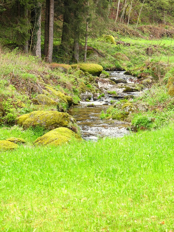 Klammleitenklamm hoch (3)