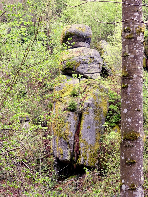 Klammleitenklamm hoch (4)