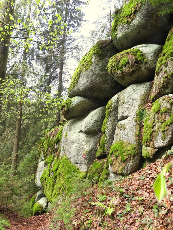 Klammleitenklamm hoch (5)