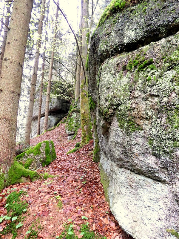 Klammleitenklamm hoch (6)