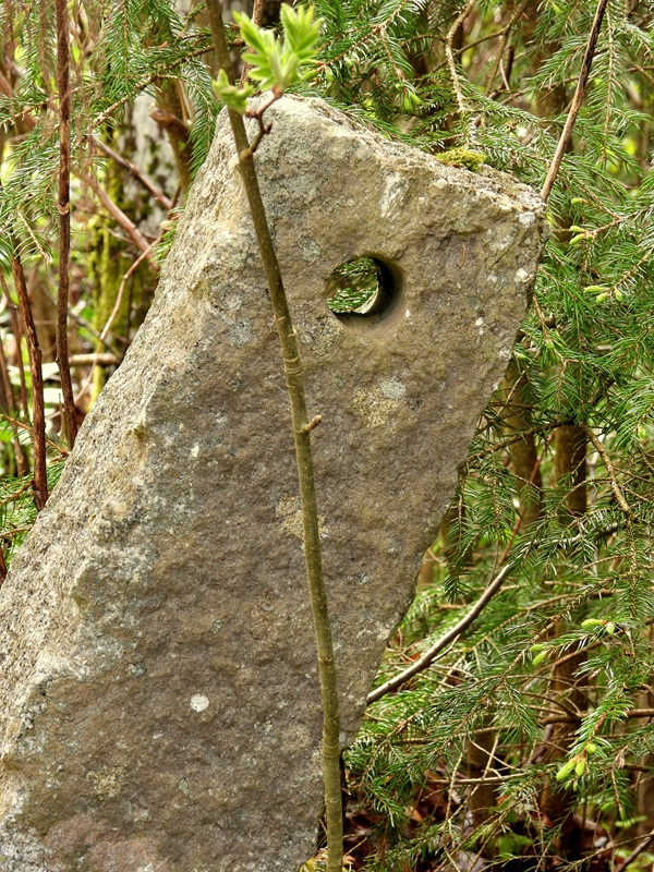 Klammleitenklamm hoch (7)