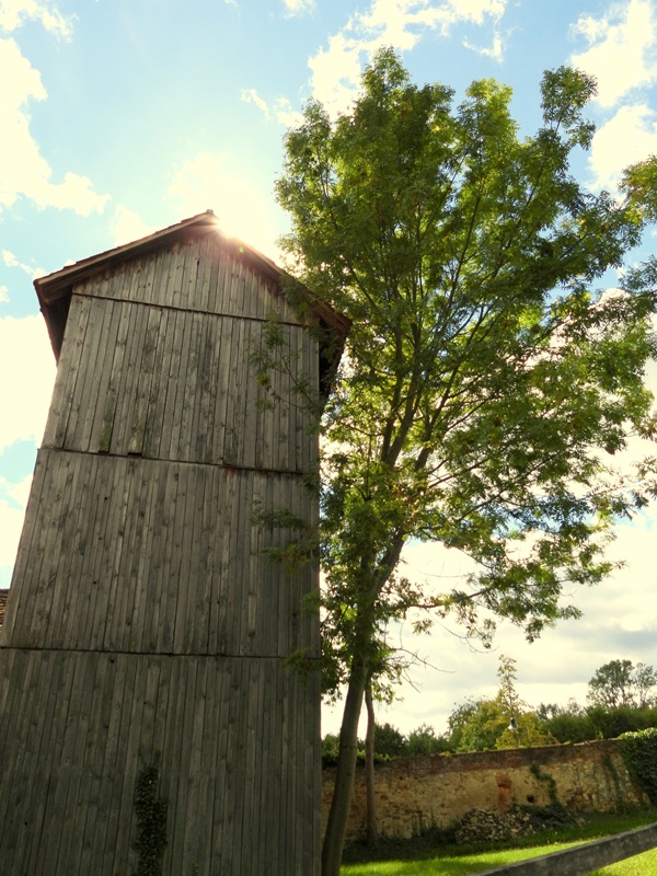 Klimazukunftsweg hoch (1)