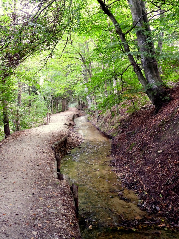 Klimazukunftsweg hoch (2)