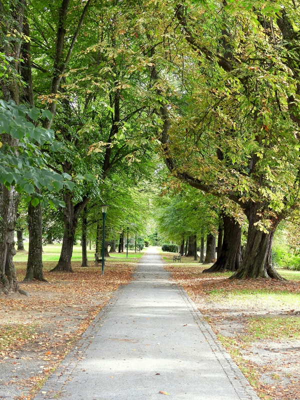 Klimazukunftsweg hoch (3)