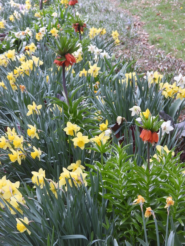 Klimazukunftsweg hoch (4)