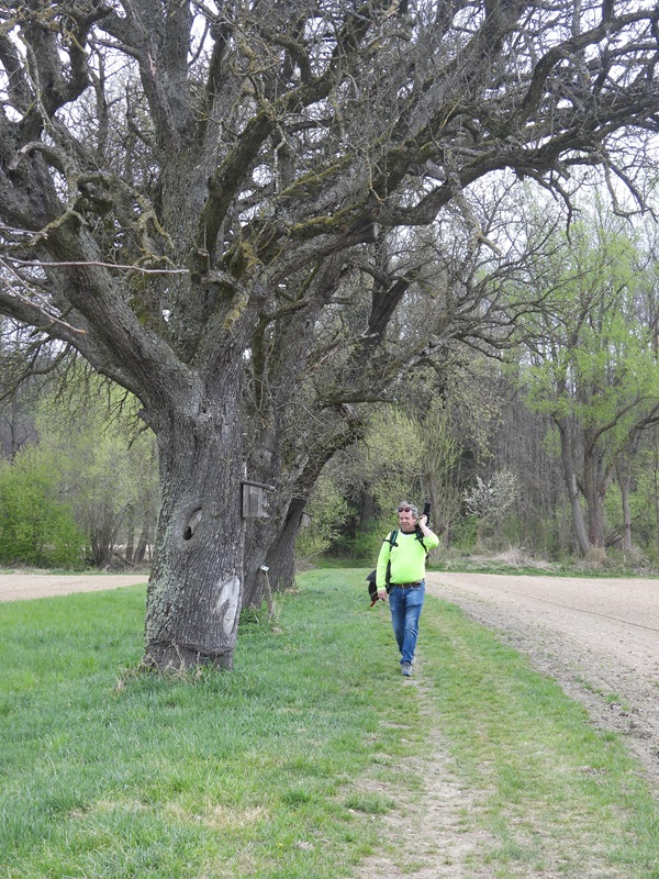 Klimazukunftsweg hoch (7)