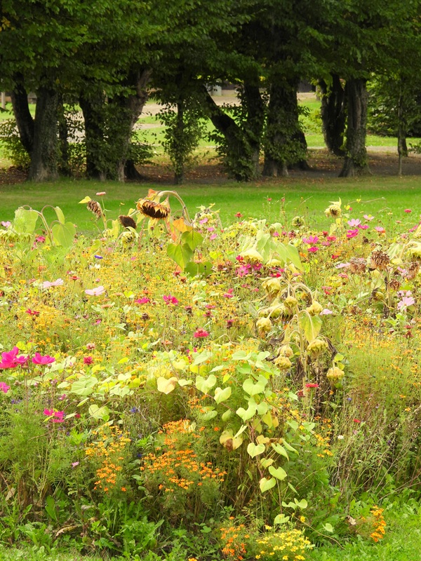 Klimazukunftsweg hoch (8)