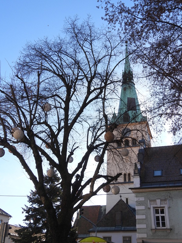 Krems hoch (12)
