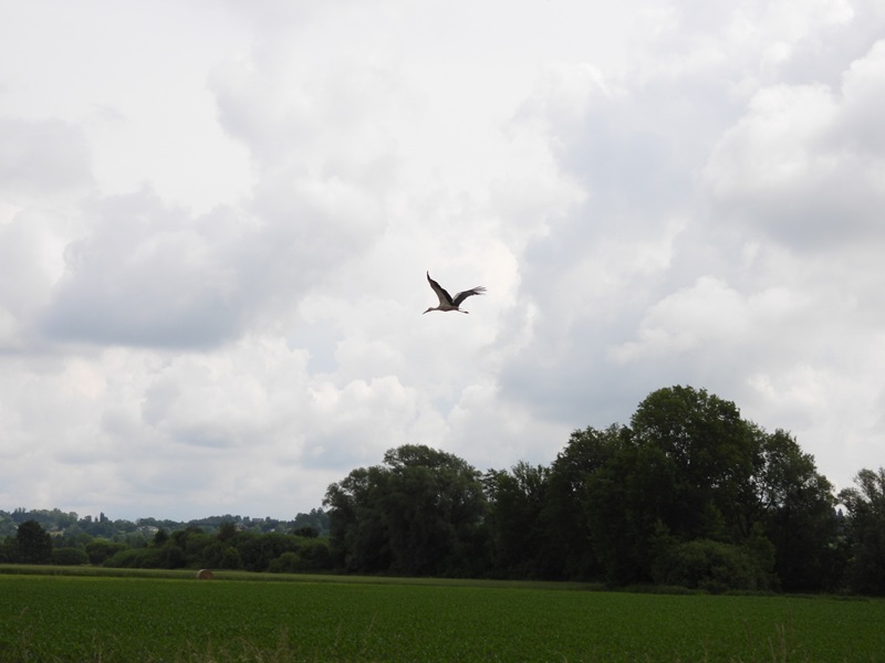 Kuruzzenwanderweg quer (18)