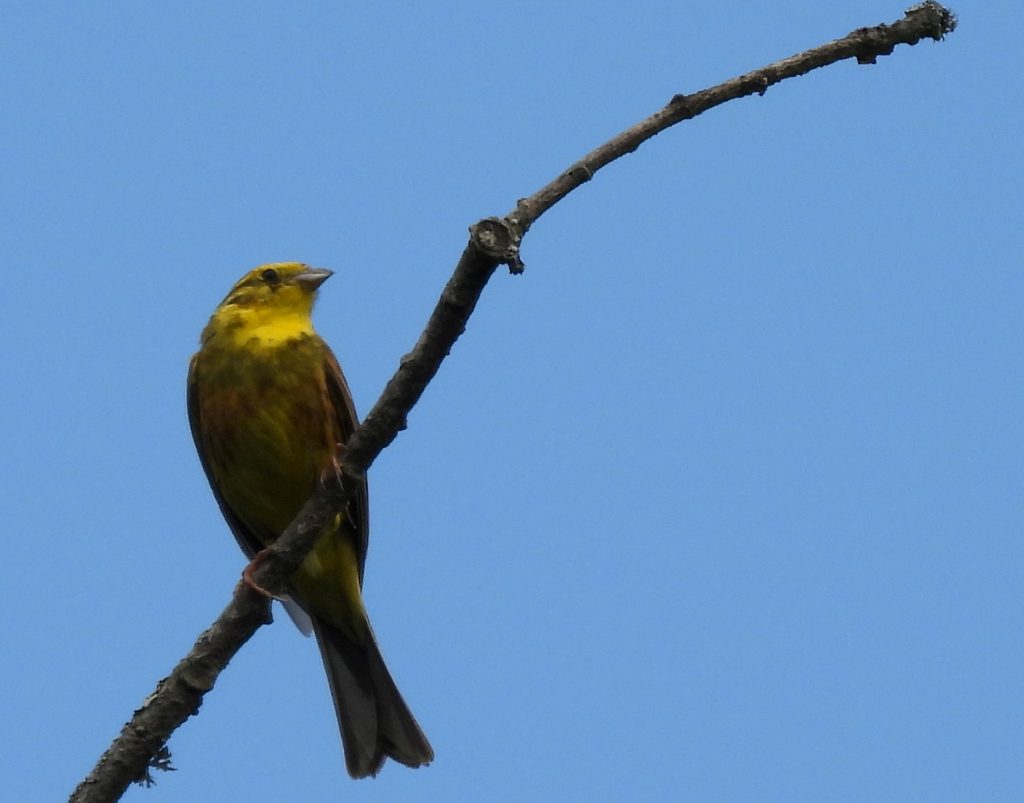 Kuruzzenwanderweg quer (6)