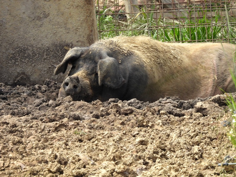 Kuruzzenwanderweg quer (8)
