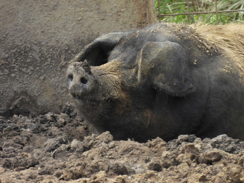 Kuruzzenwanderweg quer (9)