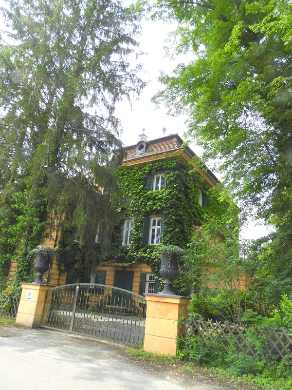 Kuruzzenweg hoch (2)