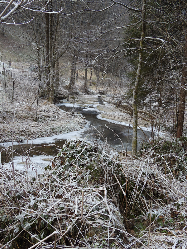 Neu Leonrod hoch (10)