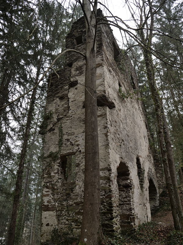 Neu Leonrod hoch (12)