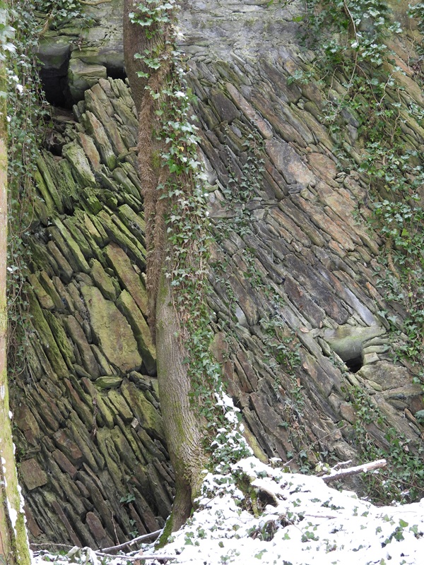 Neu Leonrod hoch (4)