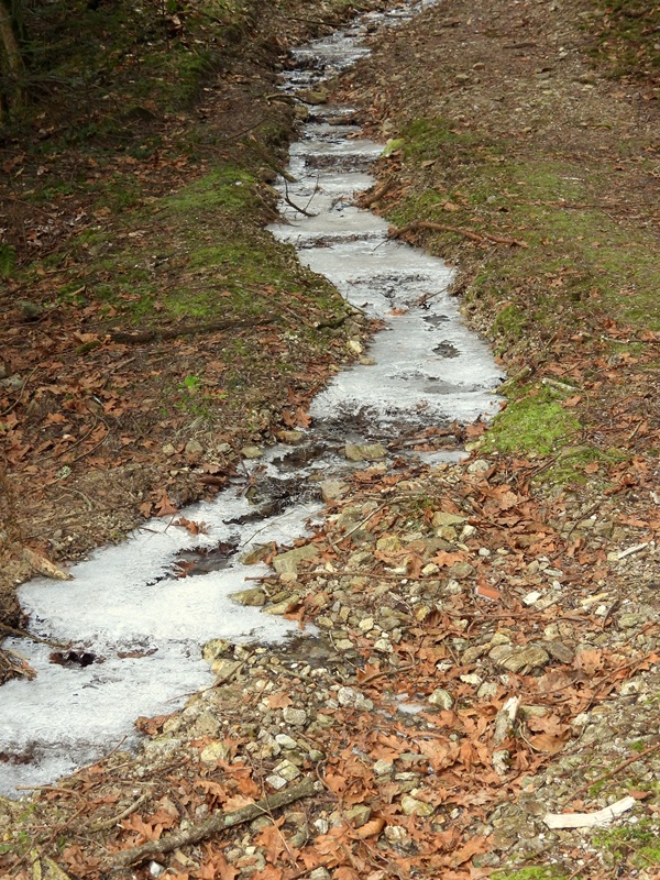 Neu Leonrod hoch (7)