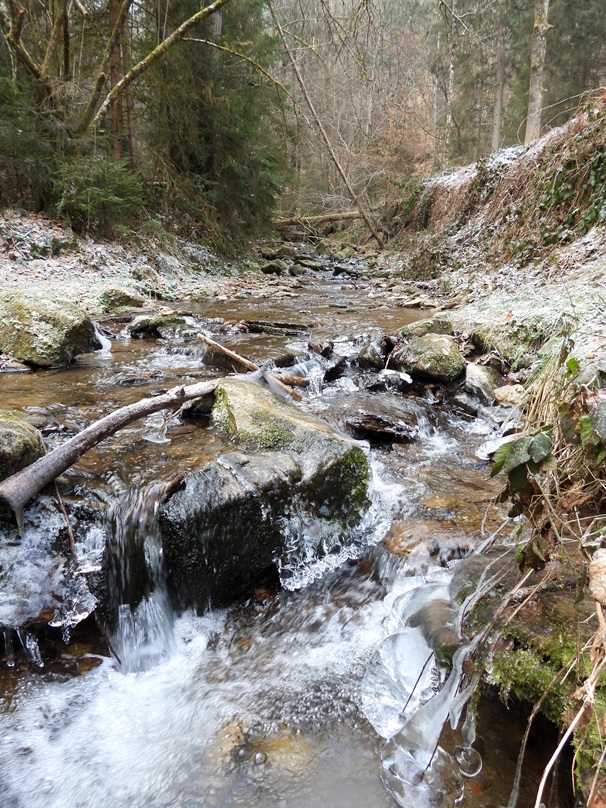 Neu Leonrod hoch (8)