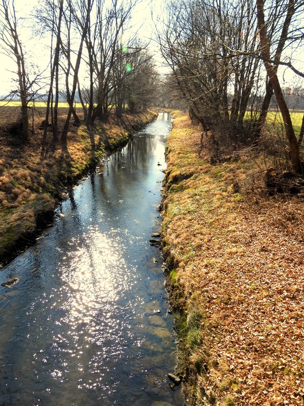 Ratschendorf hoch (1)