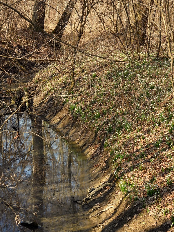 Ratschendorf hoch (4)